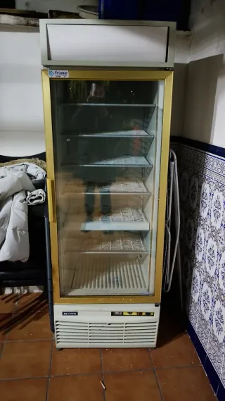 Congelador Frionar cristalera