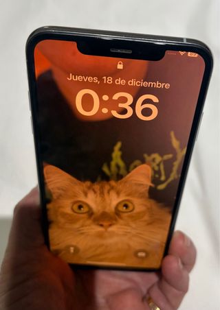 iPhone Apple Gris Plata  iPhone X Pro Max