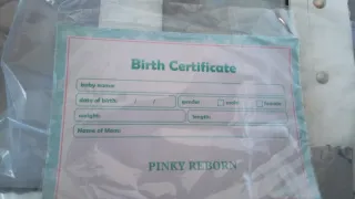 Muñeca Reborn Pinky