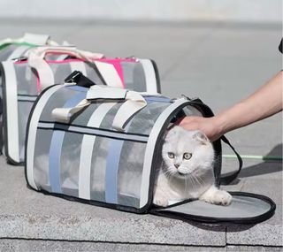 Transportín para mascotas azul y blanco