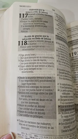 Biblia promesas