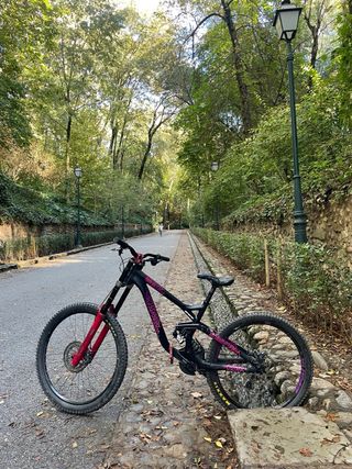 Commencal Supreme V3 DH