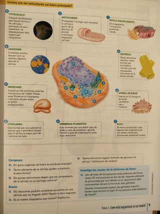 Biologia i Geologia 3r ESO - Comunitat en Xarxa - 9788468286