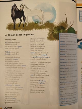 Llengua Catalana 3º ESO (Alba de Vic) - Innova 2 - 97884489