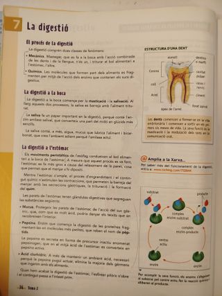 Biologia i Geologia 3r ESO - Aula3D - 9788468231983 - Bueno