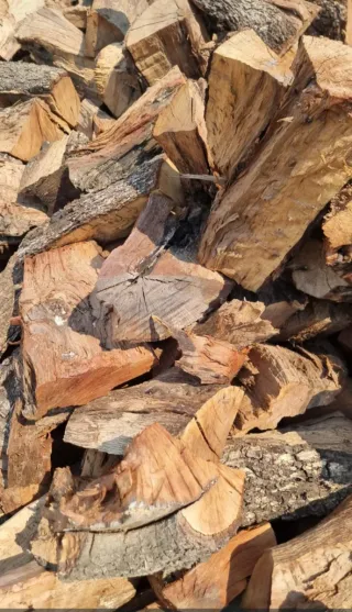 Leña de encina seca 1°calidad pesada 645 69 90 80