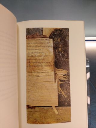 Teatro de Operaciones. Anatomía y Literatura _ Liliana Lukin.   Autografiado.