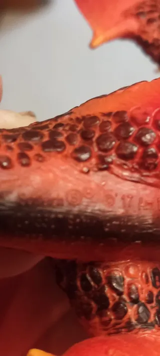 Dragón de Lava Eldrador Schleich