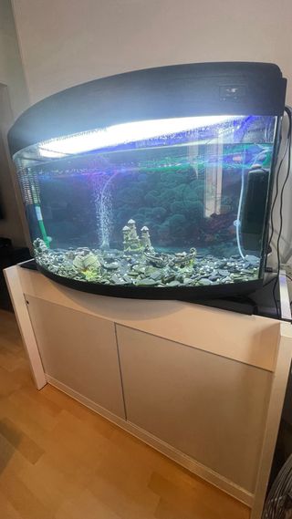 Pecera 400L con mesa y filtro