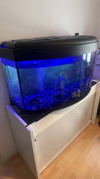 Pecera 400L con mesa y filtro