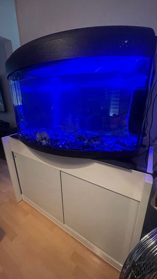 Pecera 400L con mesa y filtro