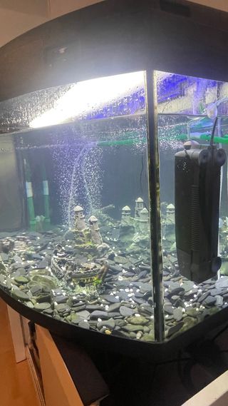 Pecera 400L con mesa y filtro