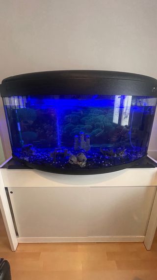 Pecera 400L con mesa y filtro