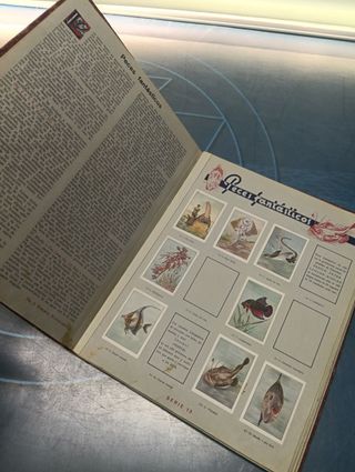 Las maravillas del mundo - Album