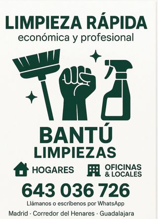limpieza profesional