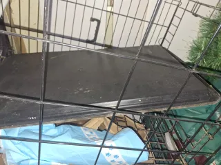 Jaula grande para perro