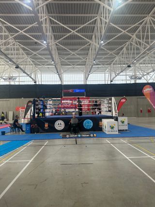 Entrenador de boxeo , Muay Thai o kickboxing