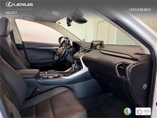 LEXUS NX SUV PREMIUM 2WD 2.5 Híbrido Gasolina (197CV) Trans