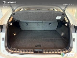 LEXUS NX SUV PREMIUM 2WD 2.5 Híbrido Gasolina (197CV) Trans
