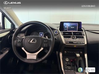 LEXUS NX SUV PREMIUM 2WD 2.5 Híbrido Gasolina (197CV) Trans
