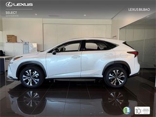 LEXUS NX SUV PREMIUM 2WD 2.5 Híbrido Gasolina (197CV) Trans