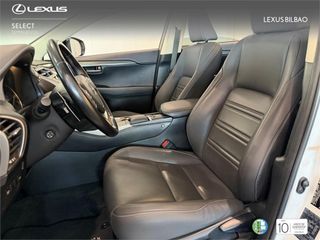 LEXUS NX SUV PREMIUM 2WD 2.5 Híbrido Gasolina (197CV) Trans