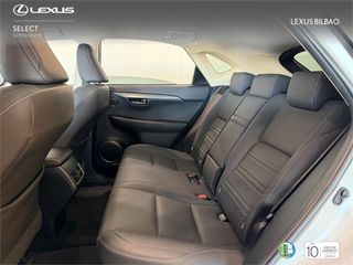 LEXUS NX SUV PREMIUM 2WD 2.5 Híbrido Gasolina (197CV) Trans