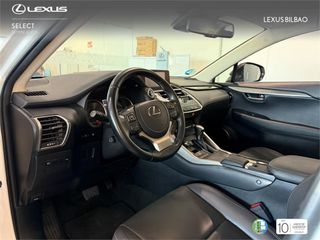 LEXUS NX SUV PREMIUM 2WD 2.5 Híbrido Gasolina (197CV) Trans
