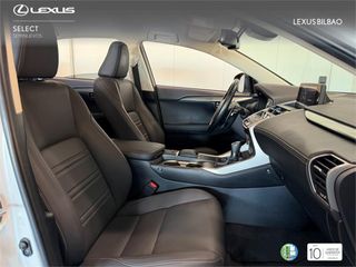 LEXUS NX SUV PREMIUM 2WD 2.5 Híbrido Gasolina (197CV) Trans