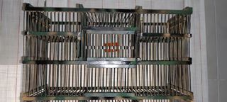 Jaulas para pájaros con balancines