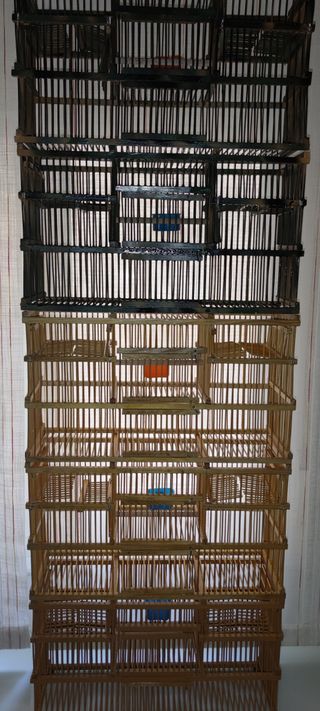 Jaulas para pájaros con balancines