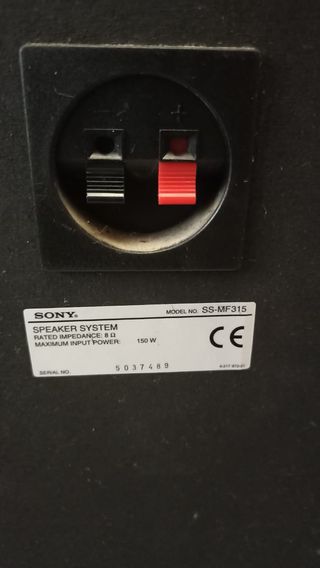 Lote 2 Altavoces Sony Negros