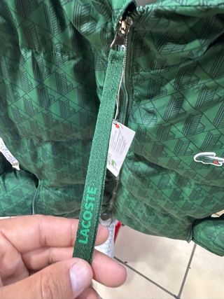 Chaqueta Lacoste Monograma Verde