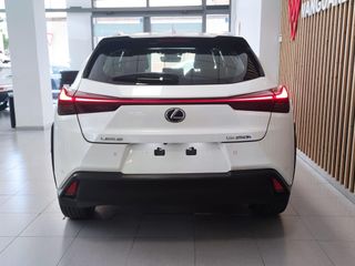 LEXUS UX 2.0 250h Business 4WD Navigation