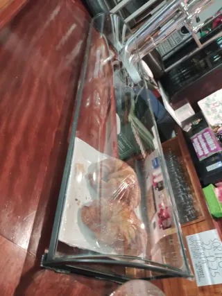 Vitrina expositora para pintxos neutra