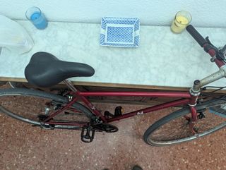 Bicicleta de montaña roja