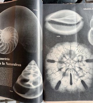 12 revistas LIFE años 50