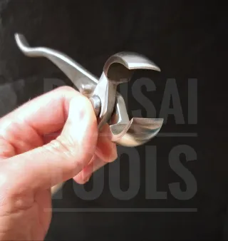 Herramientas Bonsai. Vaciadora Concava INOXIDABLE