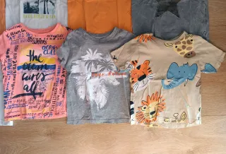 17 Camisetas Manga corta y 1 pantalón 98 ctms