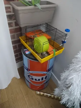 Se regala jaula para hamster