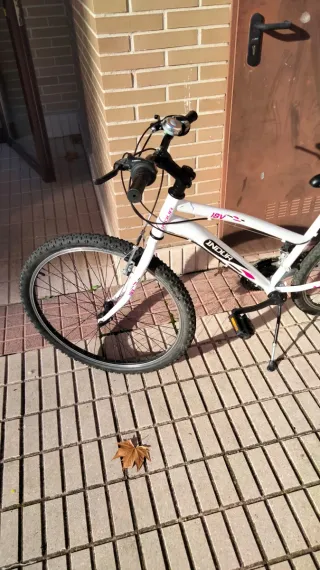 Bicicleta de montaña 26 Indur