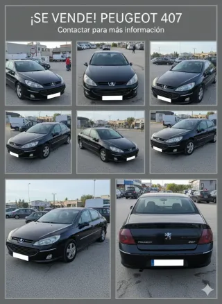Peugeot 407 2007
