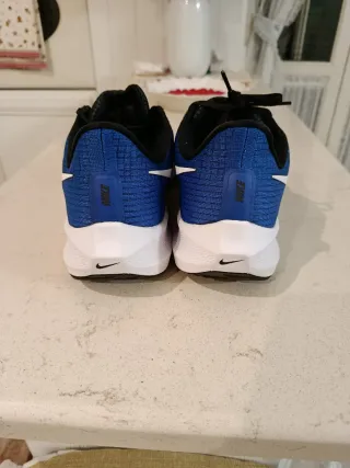 Nike Zoom Pegasus 39 Scarpe da Corsa Blu