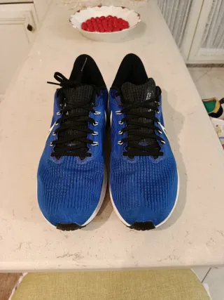Nike Zoom Pegasus 39 Scarpe da Corsa Blu