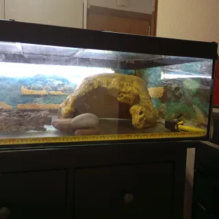 Terrario Acuario Reptiles Tortugas