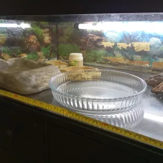 Terrario Acuario Reptiles Tortugas