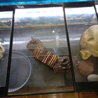 Terrario Acuario Reptiles Tortugas