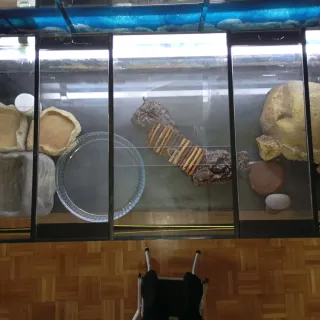 Terrario Acuario Reptiles Tortugas