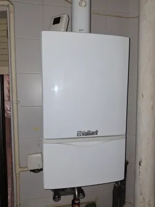 Caldera Vaillant Blanca