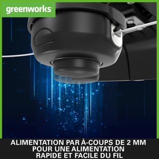 Recortadora de césped eléctrica Greenworks 230 V